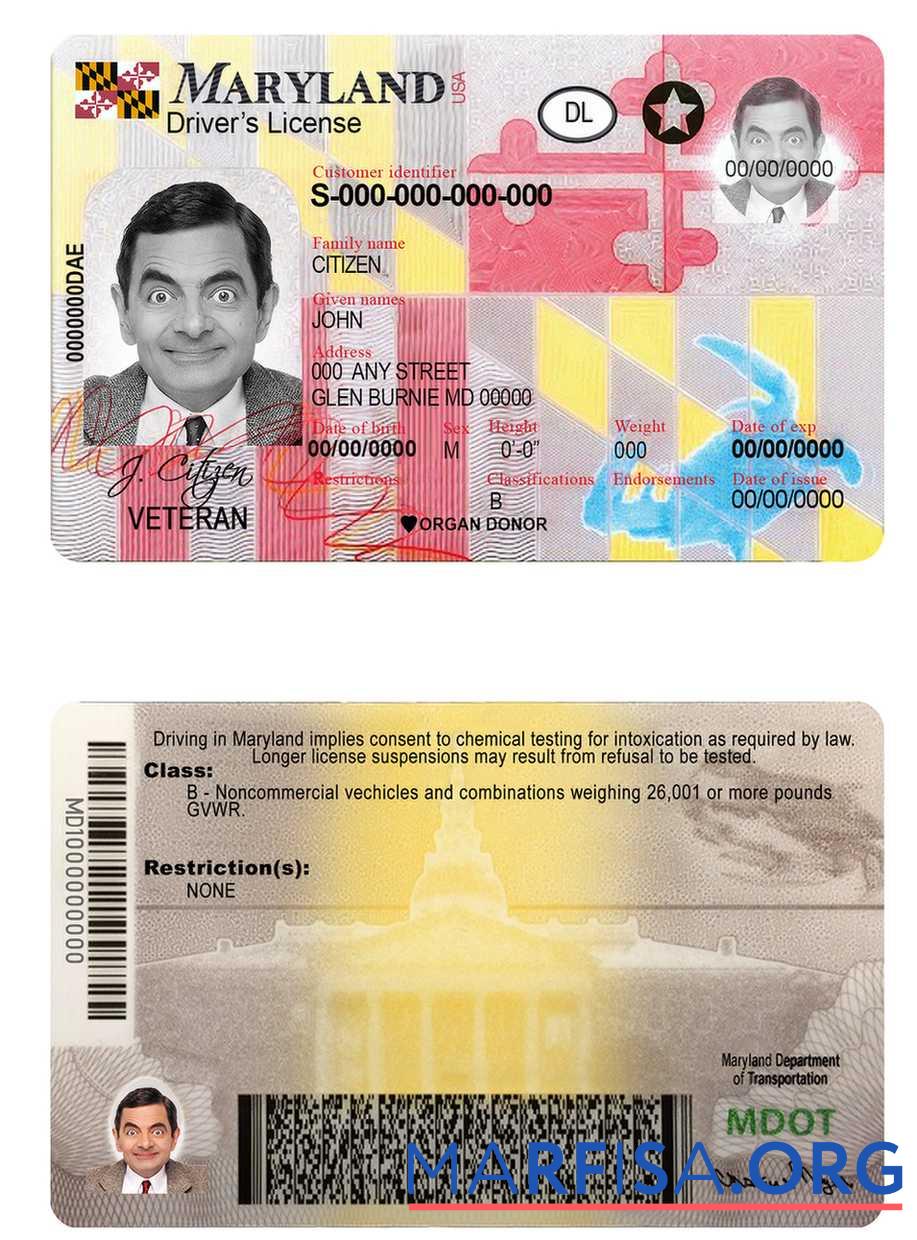 Blank USA Maryland DL 2016 present template